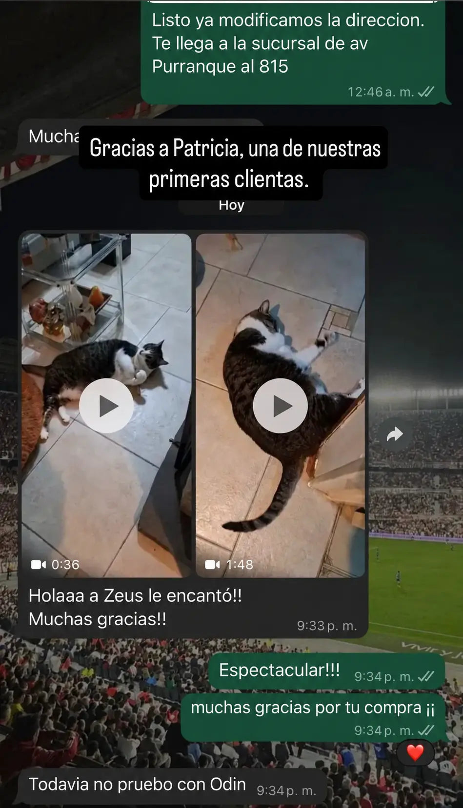 Galería de imágenes