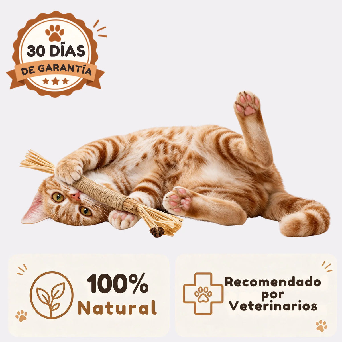 Sticks de Silvervine Happymichi®