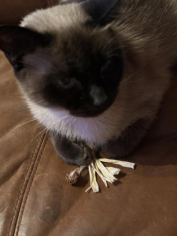 Foto de review de Jimena